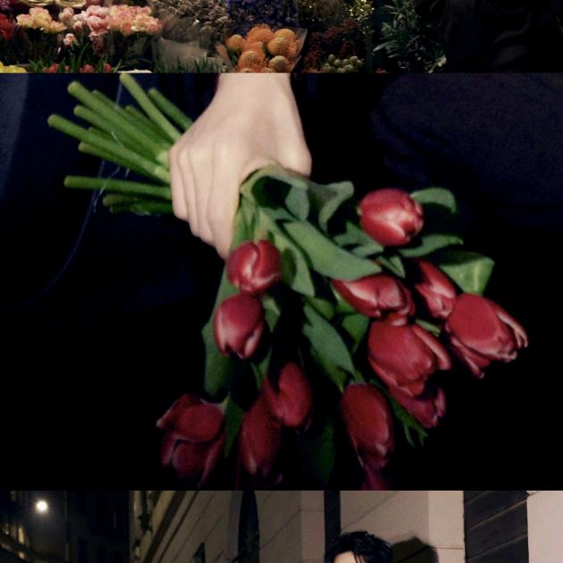 橘子树下你和我