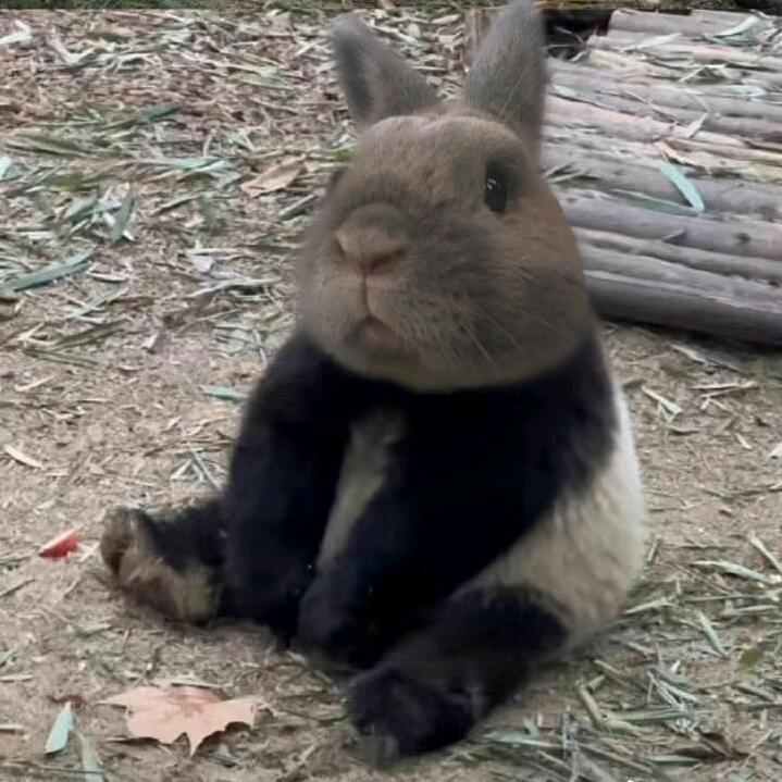 十八里铺