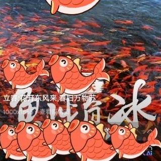 A紫罗兰