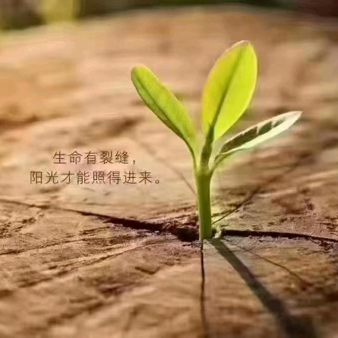 产地果蔬代收代销代发货