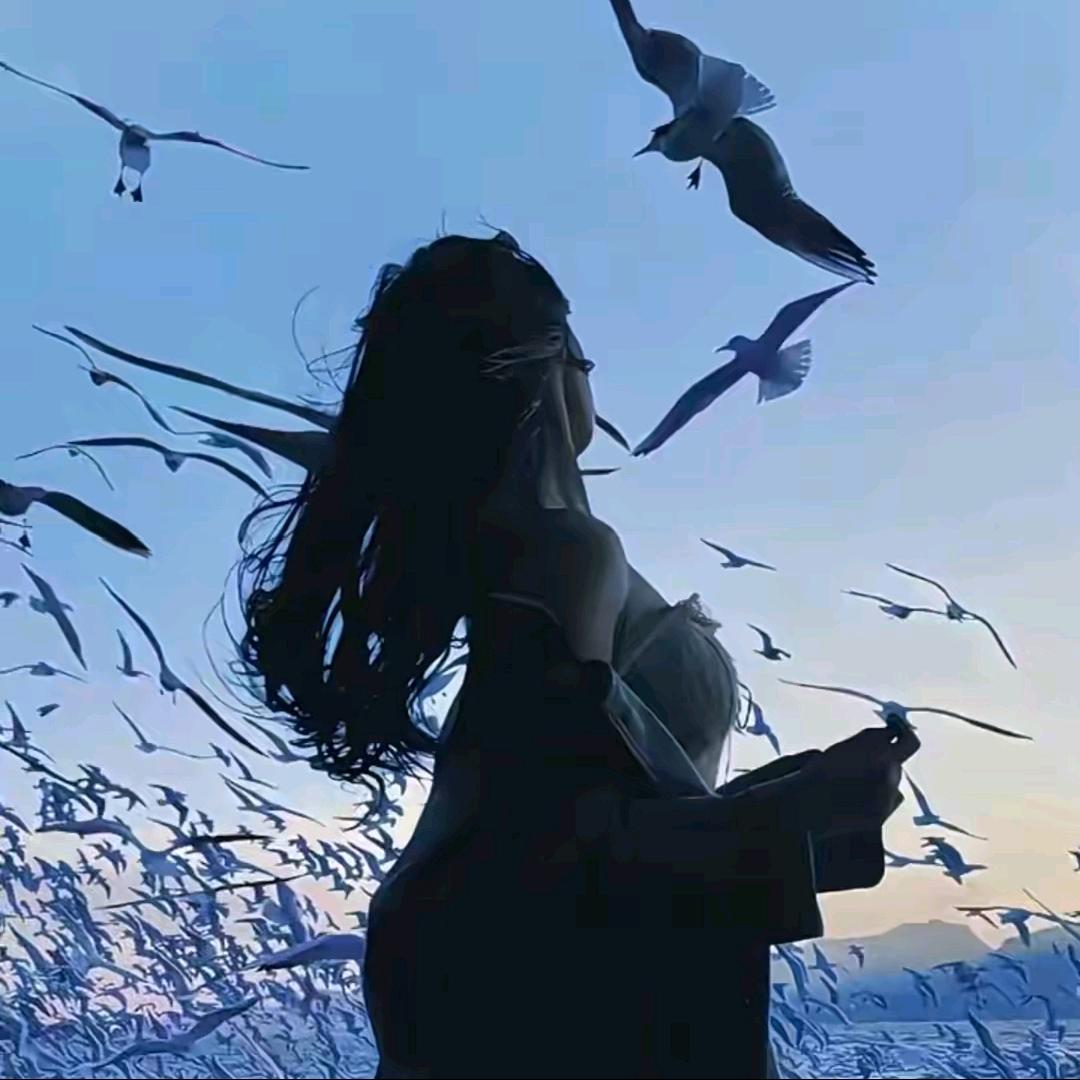小琳同一人(郑紫怡)