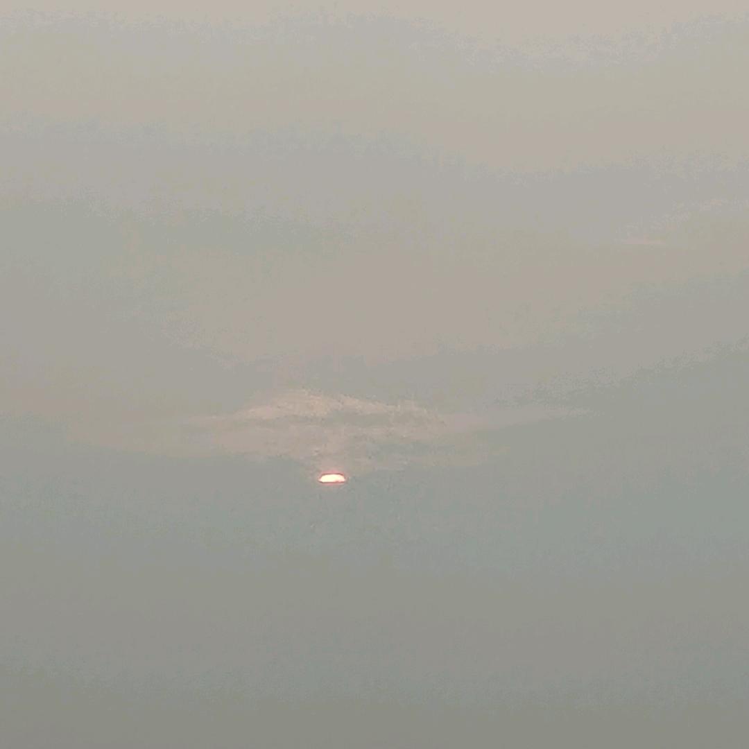 简介点开有惊喜