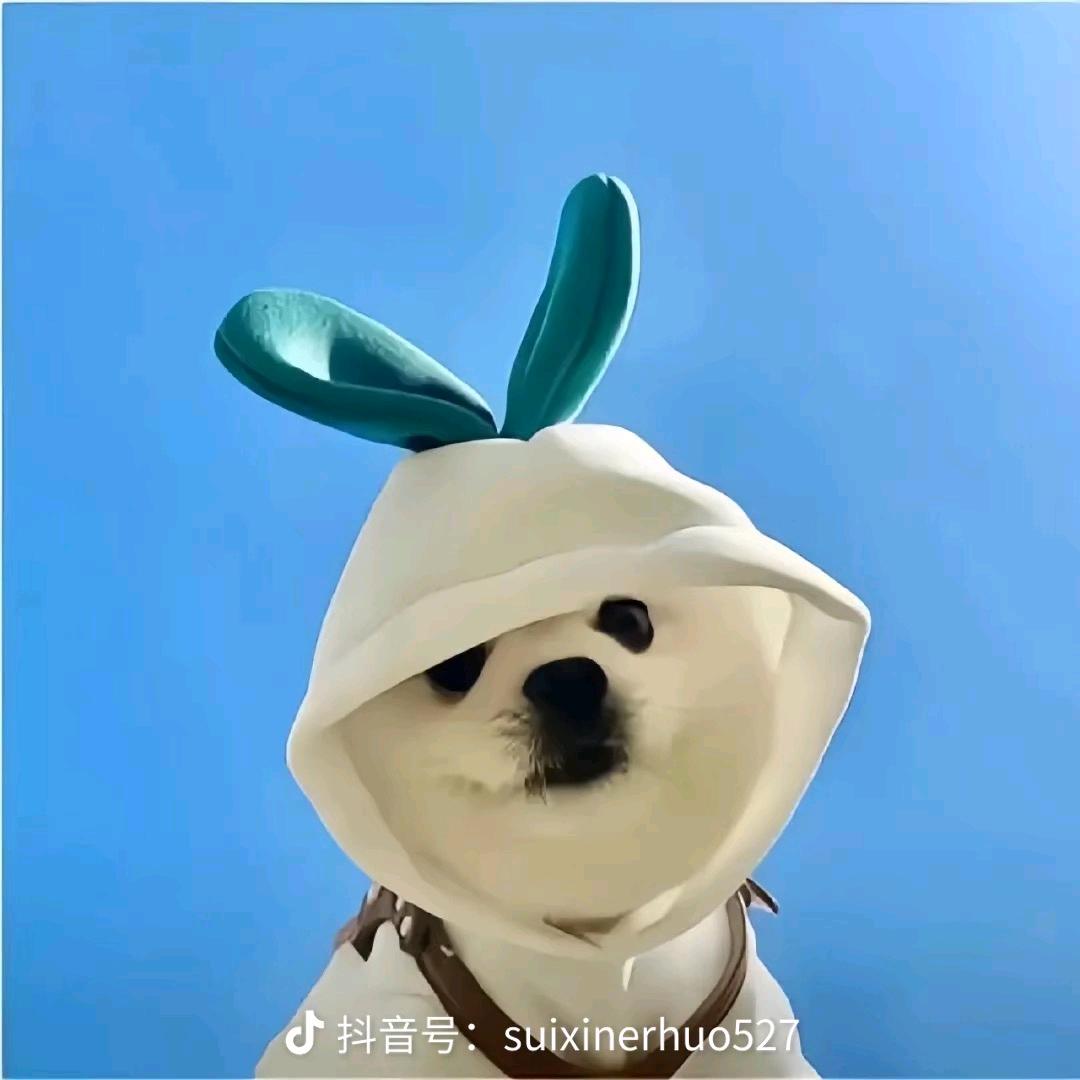 雾里三千意