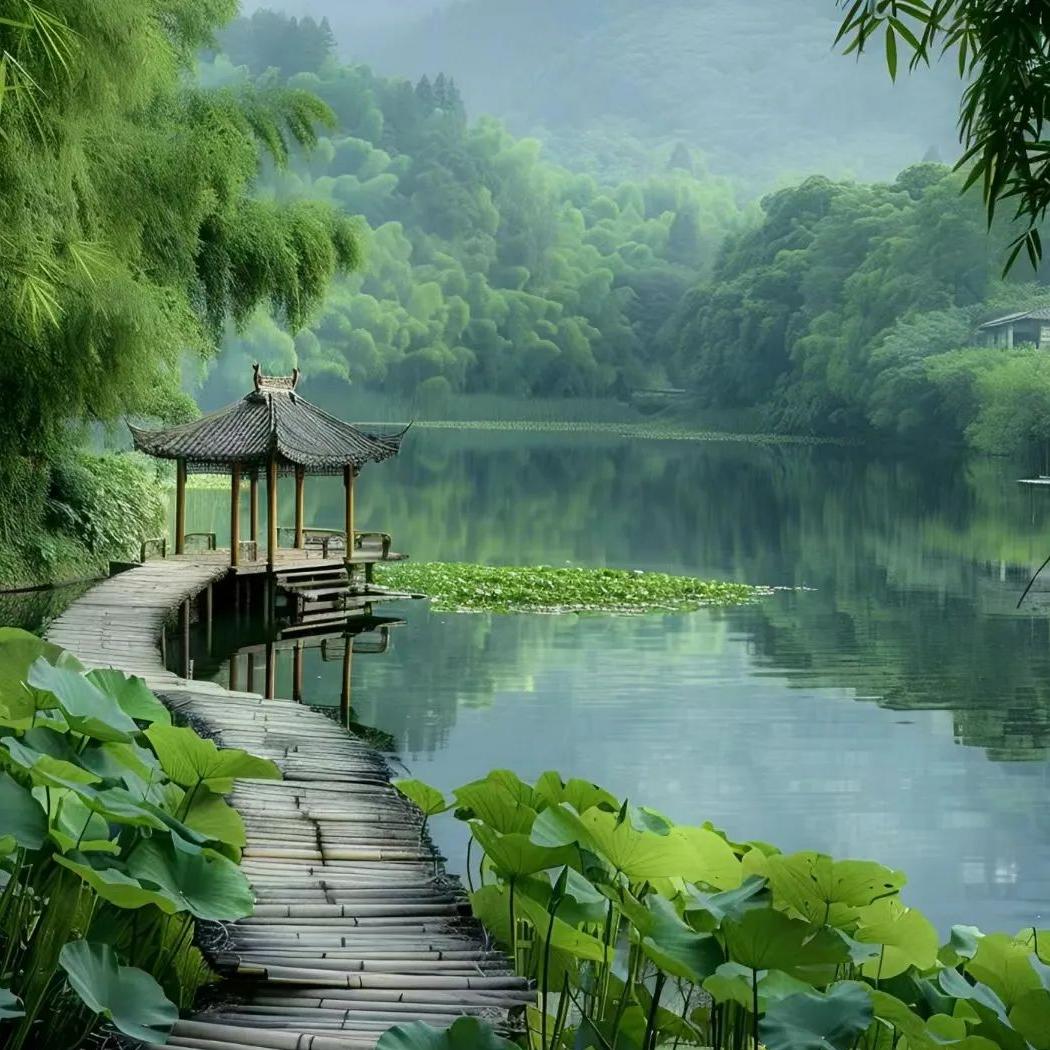 顿禅禅韵