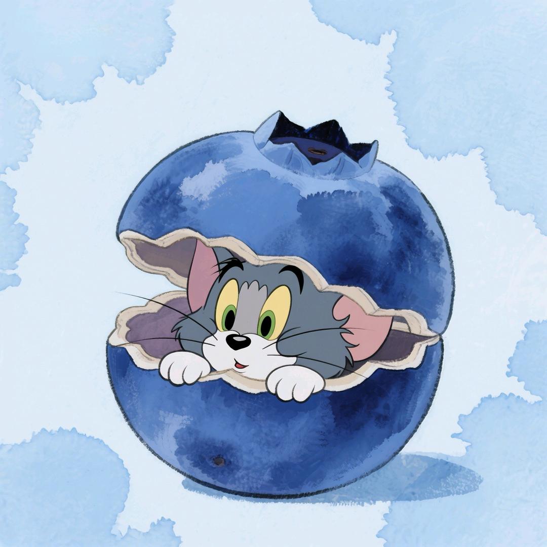 猫耶💫