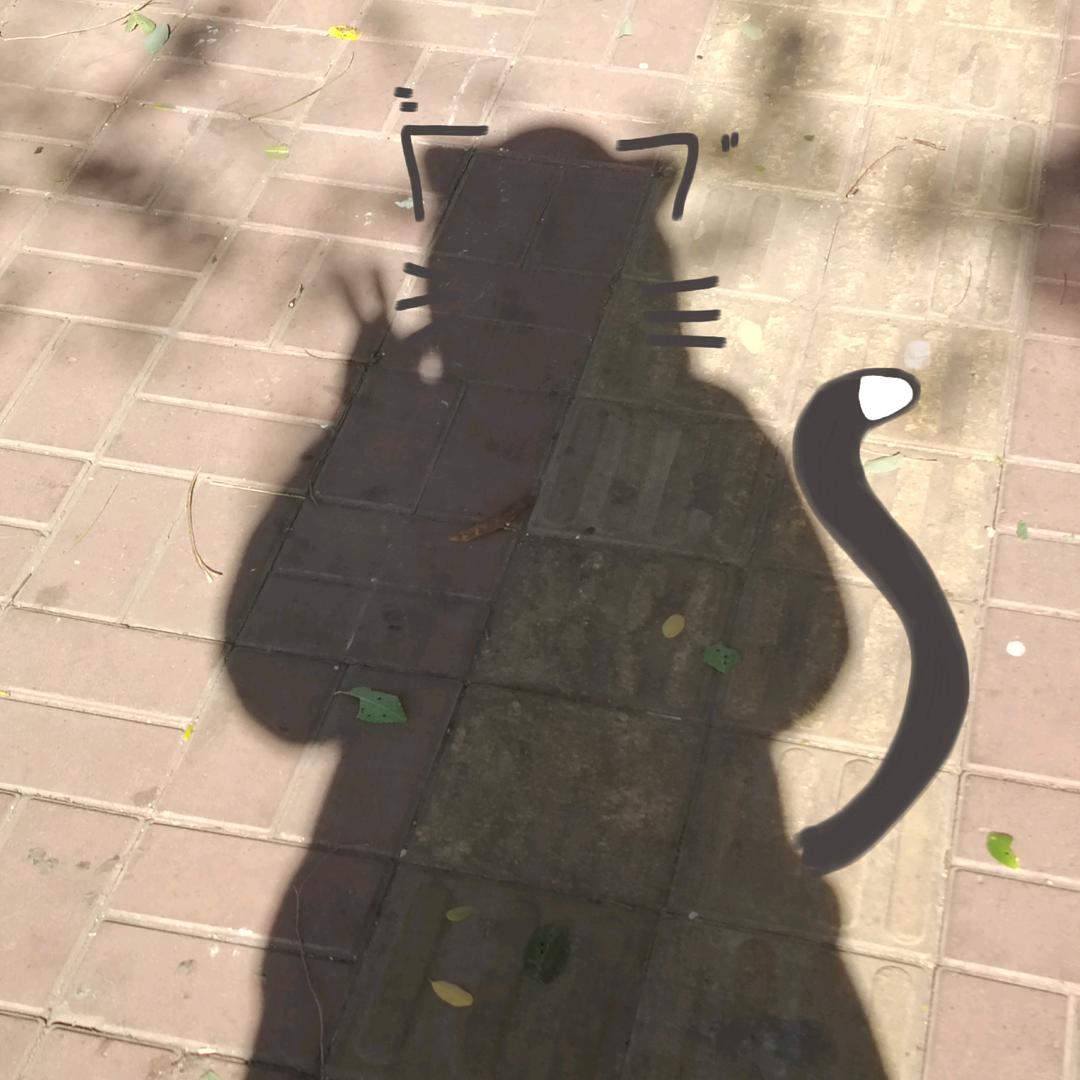 胡桃大王！