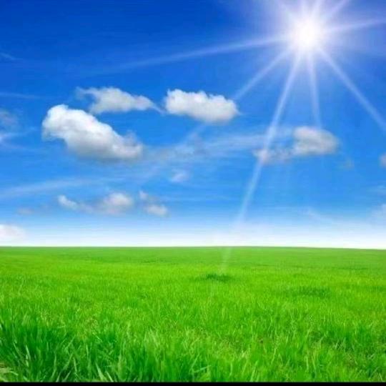 做路灯亮化的鸿姐