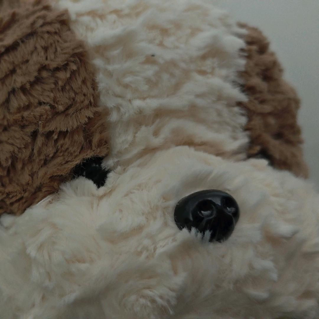 来来来来来来来来