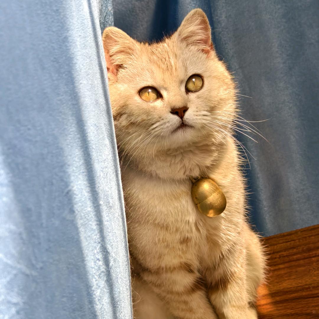 ໑ຼₒ₂₅ღ好运加满