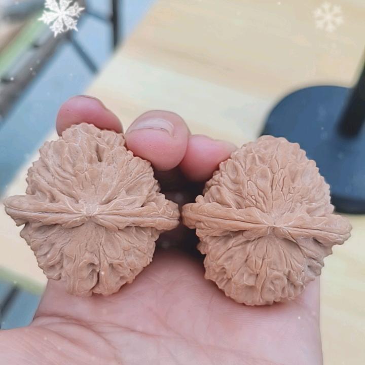 核桃z青皮
