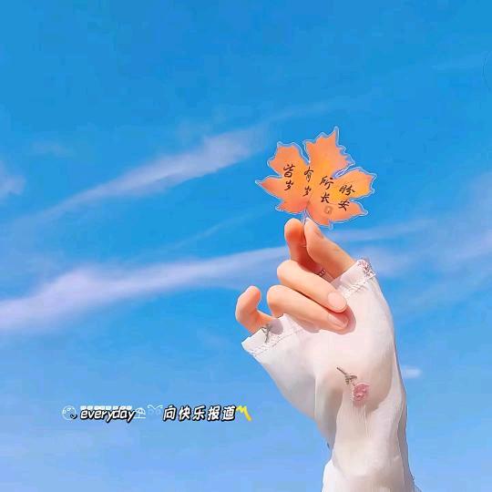 浅笑如夏