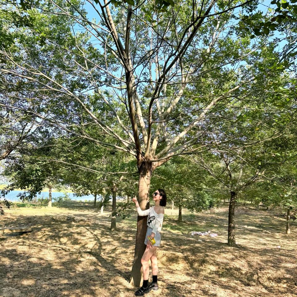 卖苗木的小女孩儿👧🏻