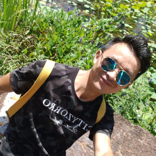 弥市镇 皇仕金苹果