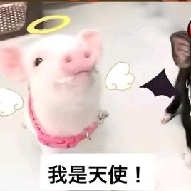 想用颜值支付结果被告知余额已逾期