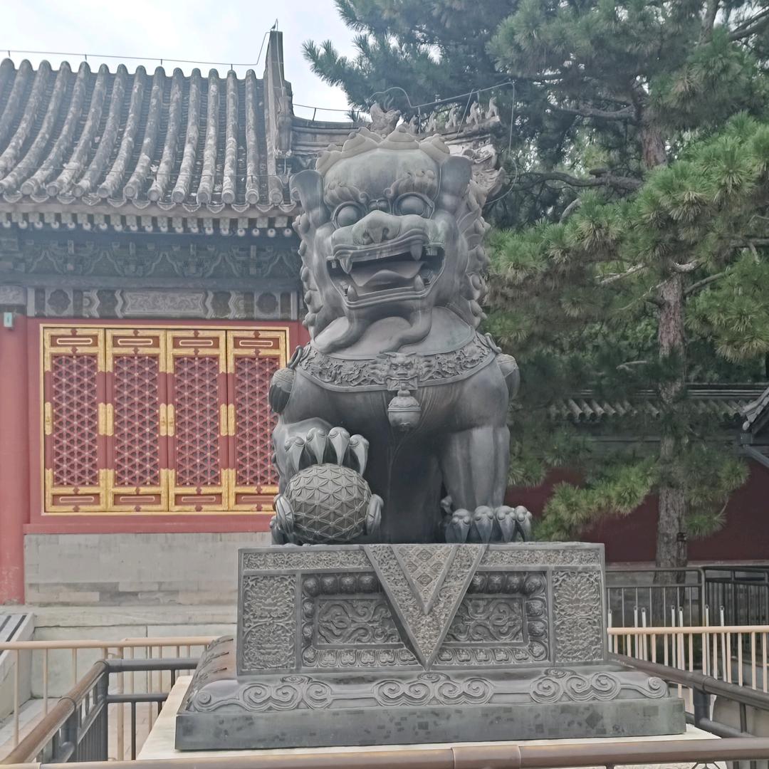 ❤鸑鷟鵷鶵YueZhuoYuanChu