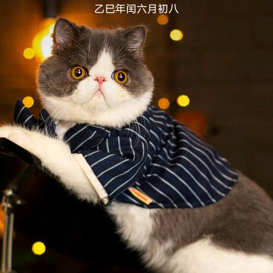 给点阳光莪就灿烂