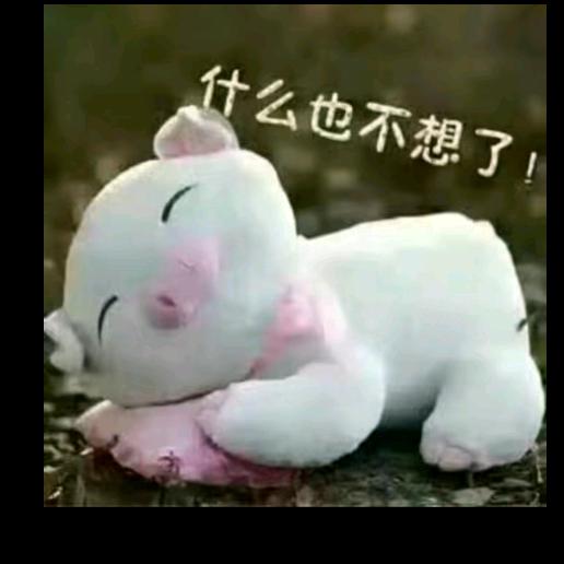 👫真心给错了人🙏
