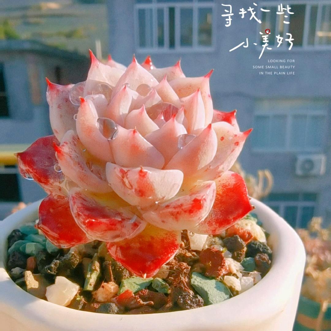 蓦然暗度流年