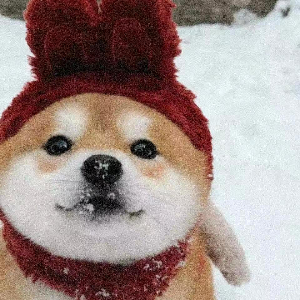 。。？？。？！！