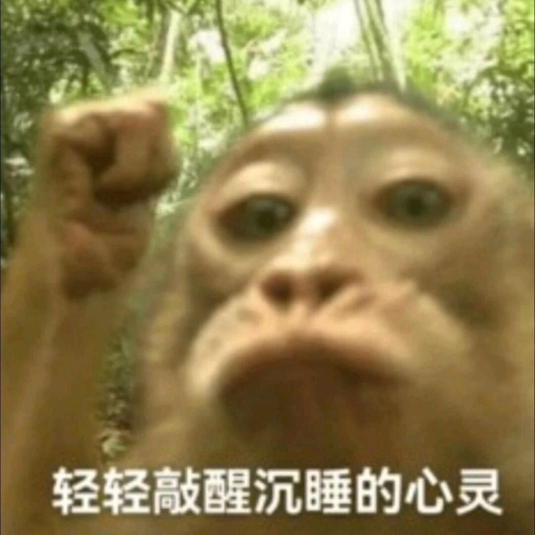 小宝贝～喵（他妖娆妩媚的向你走来了😅）