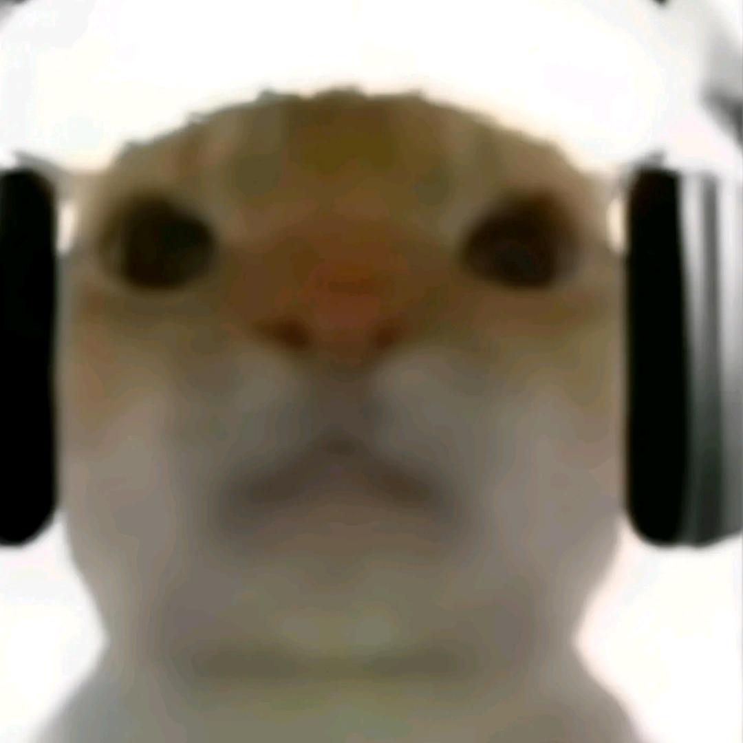 鼠鼠