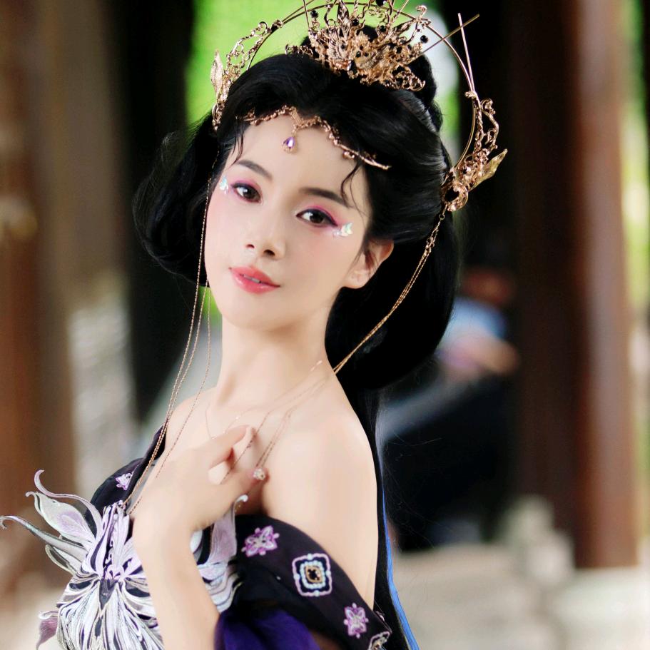 胡同里有只貓
