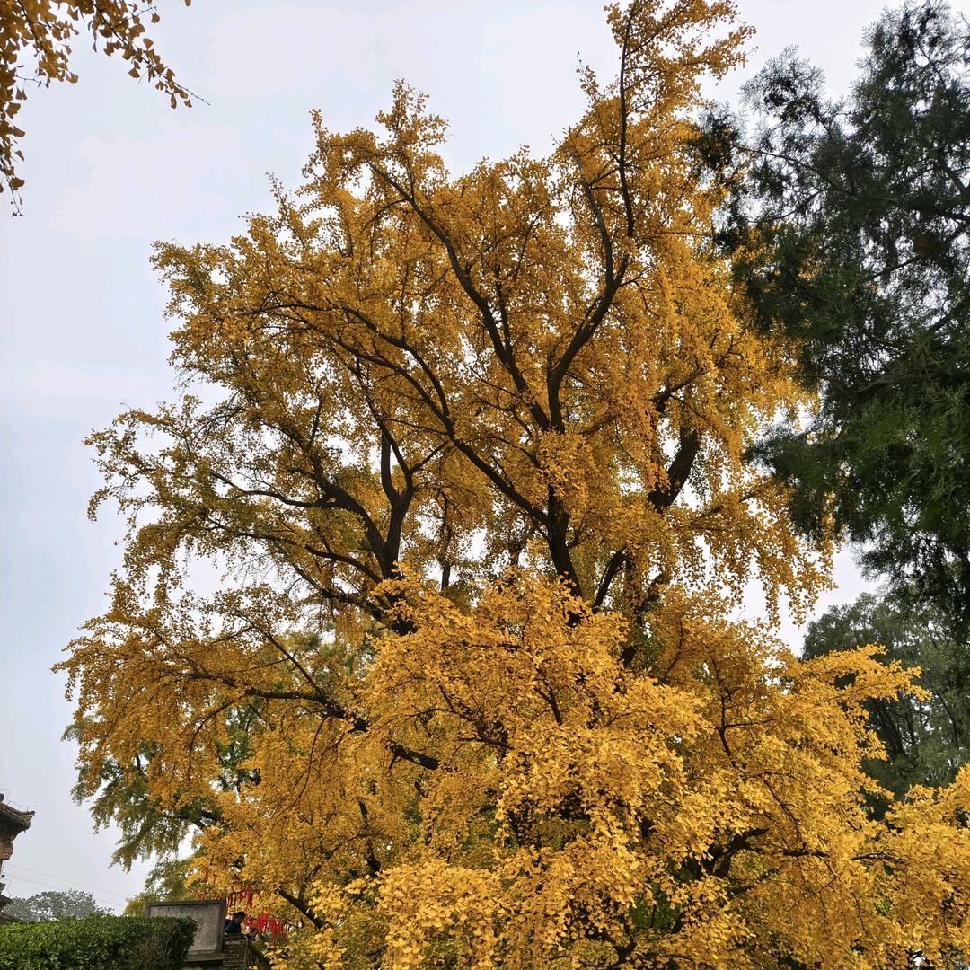 新乡老李水电维修