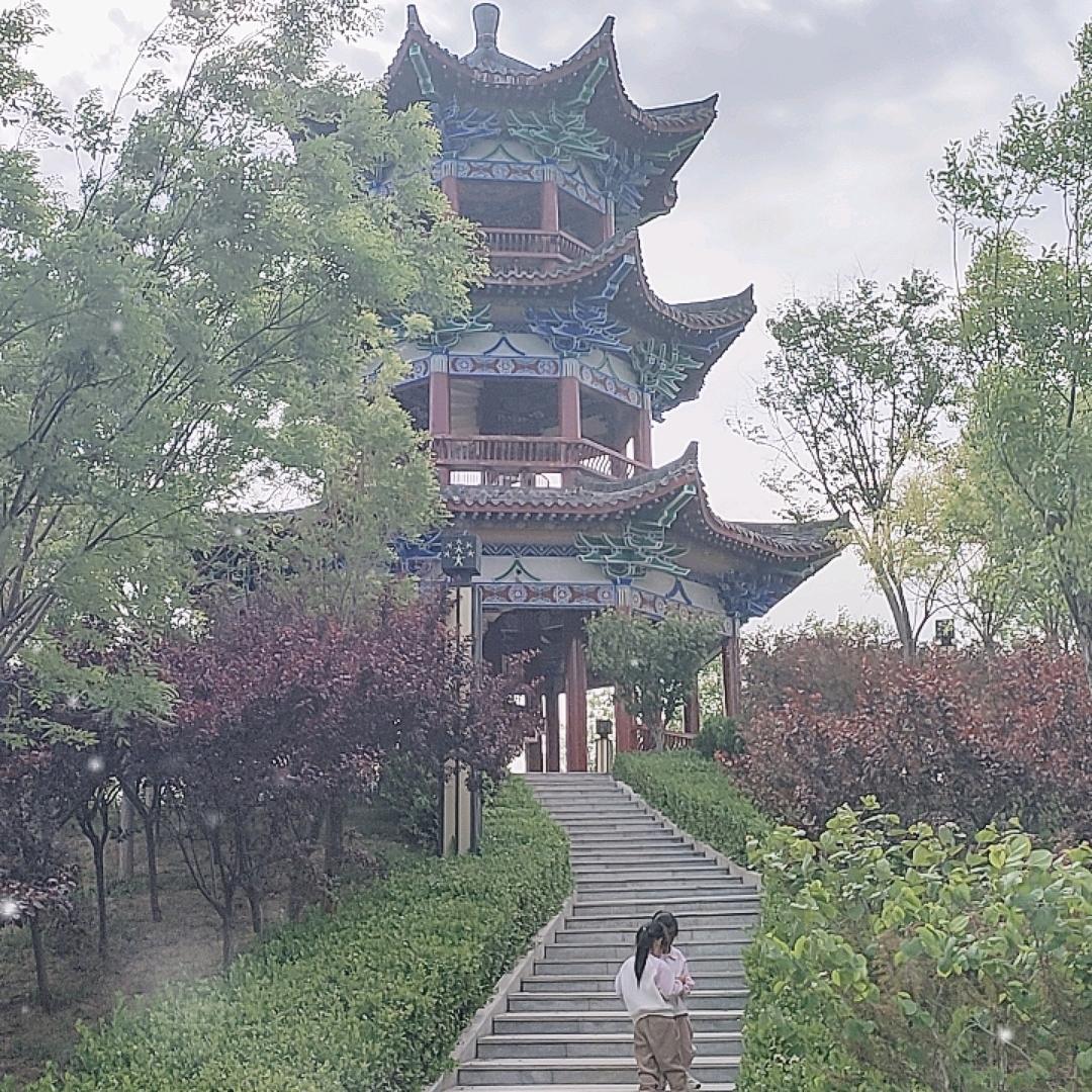 一匹浪迹天涯的骏马