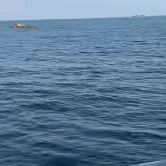 ❄️ღ语᭄溪࿐¹²⁸⁸