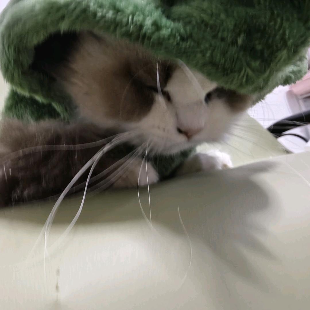 富贵儿