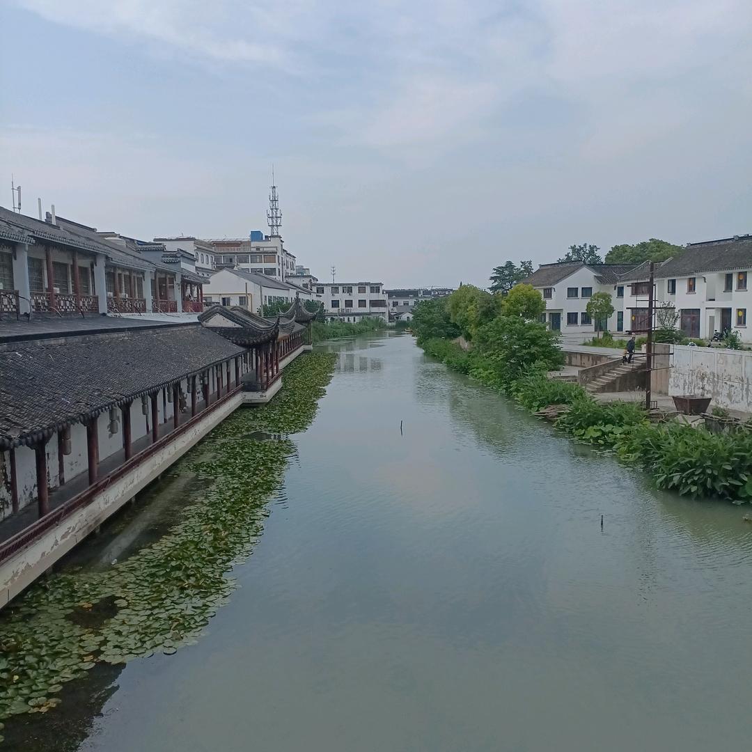 随风逐梦