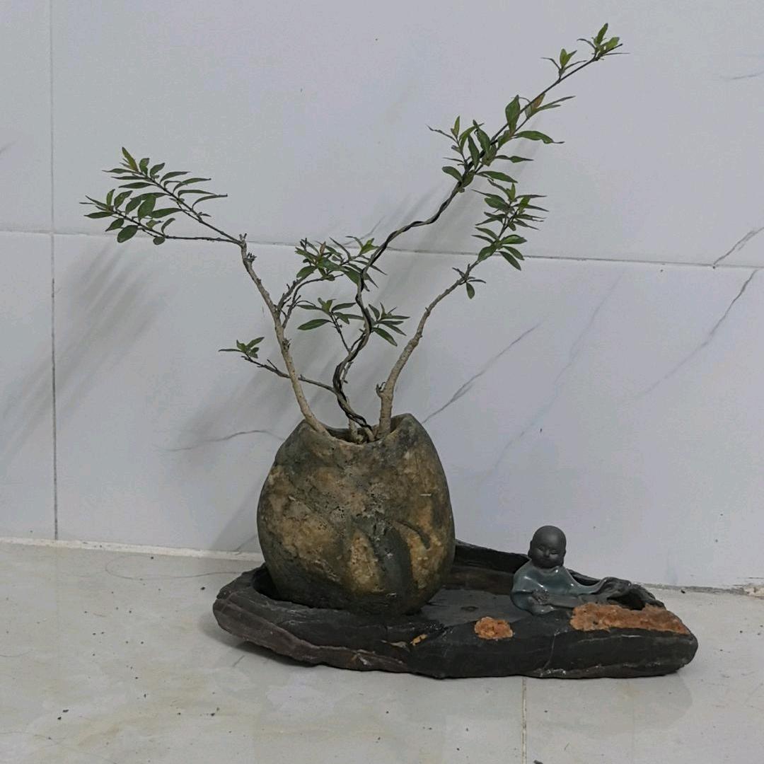 老五石坊(灵璧石花盆)