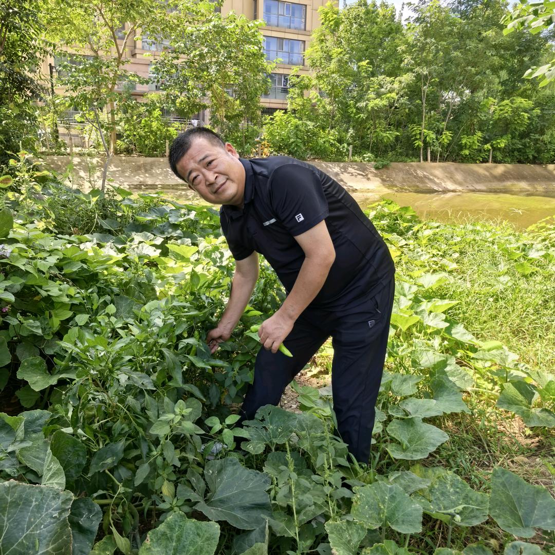 博文虎哥