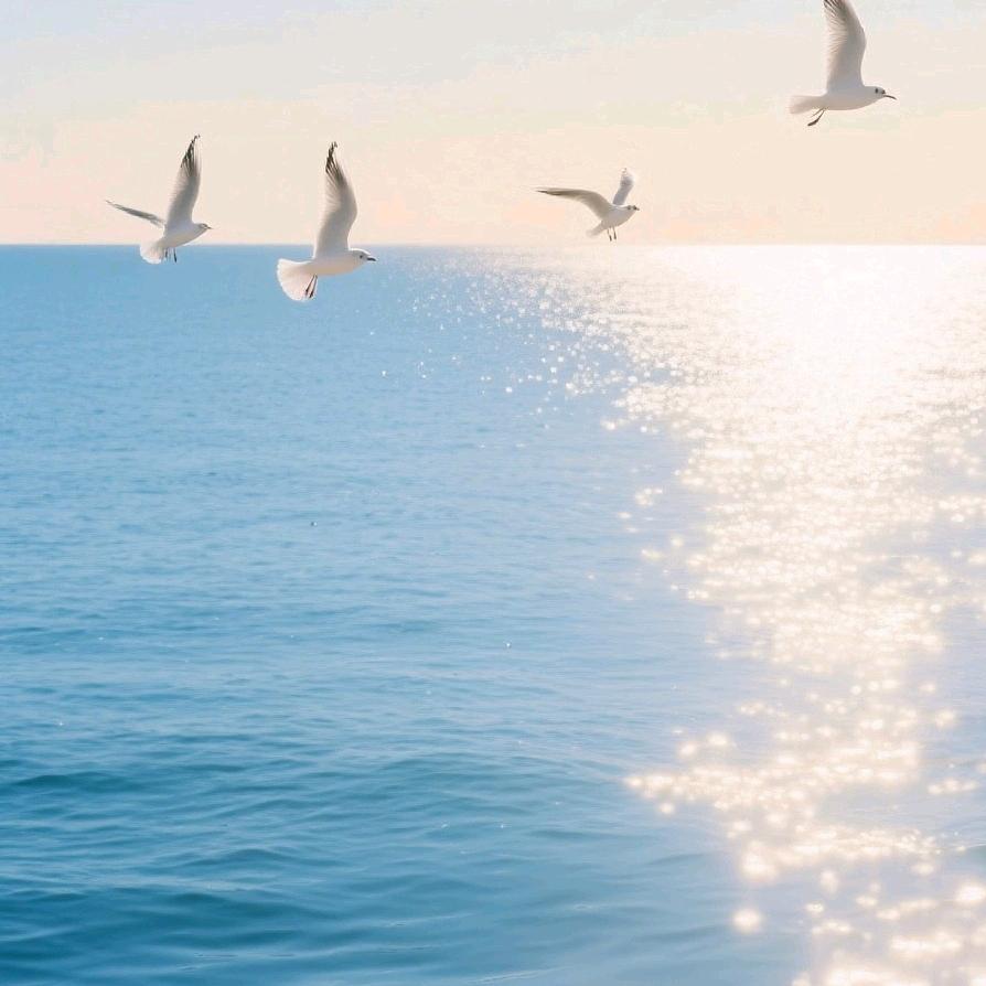 海洋，