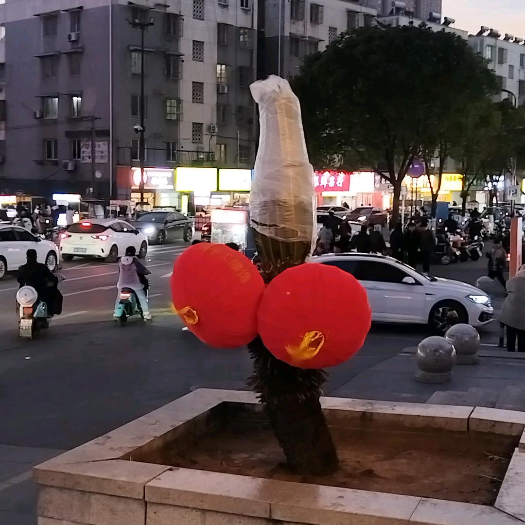 蛋挞王子