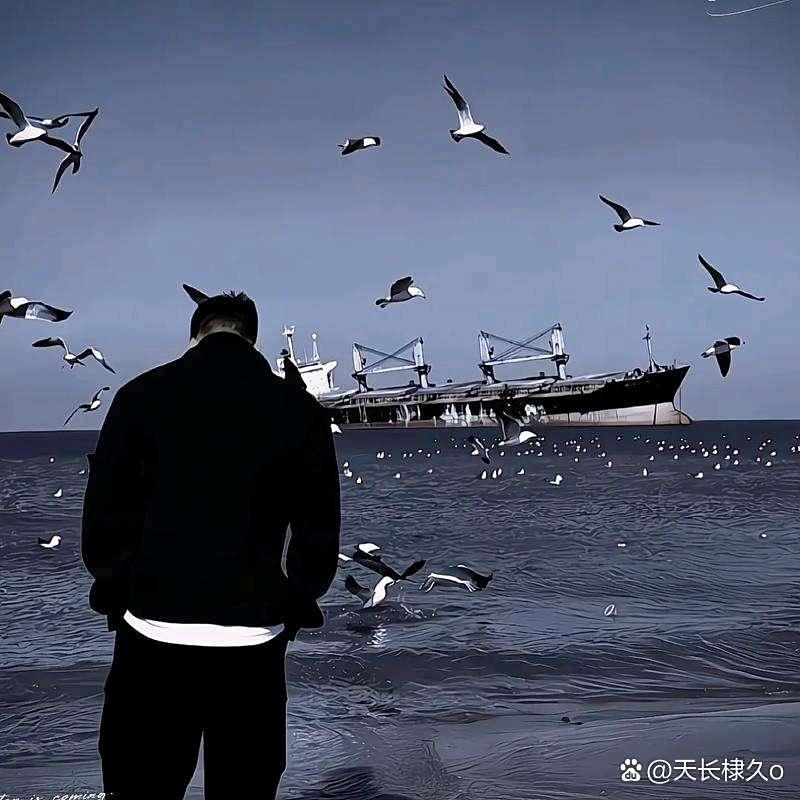 🐬阳光男海🐬