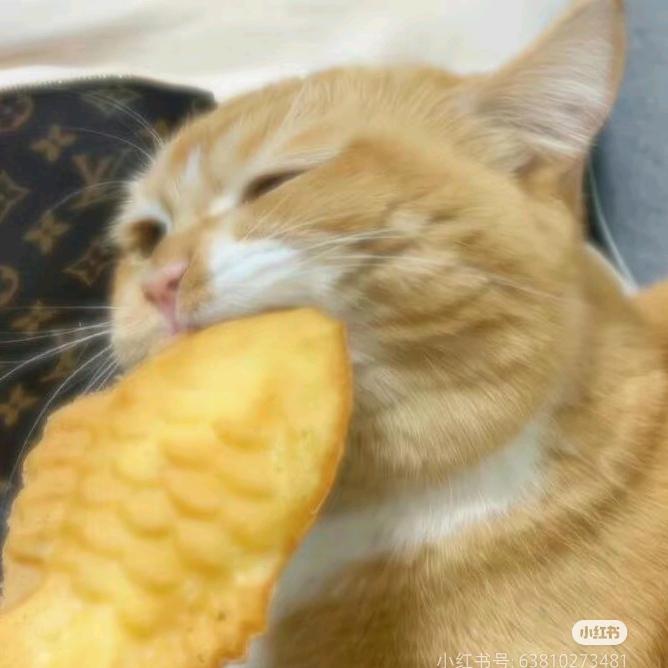 鱼鱼噗嗤