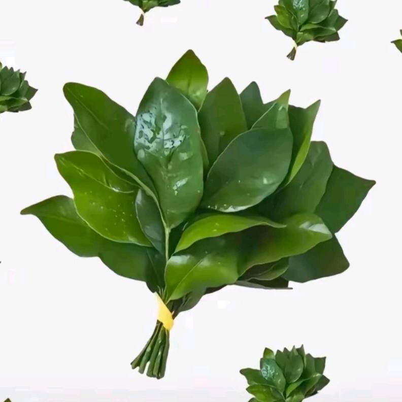 好运从四面八方来