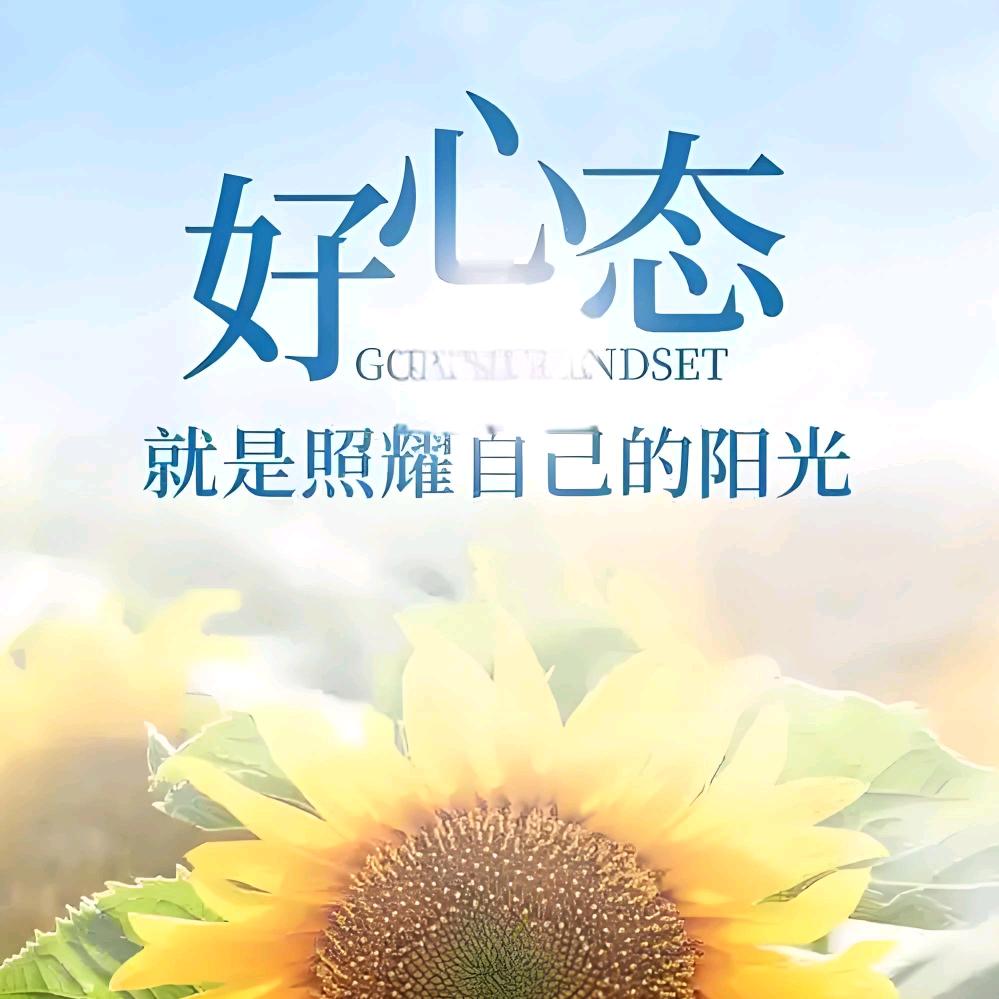 向阳🌻