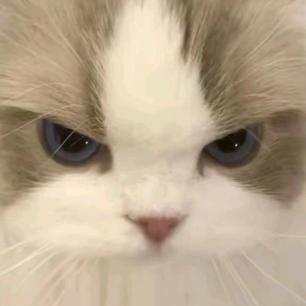 !?