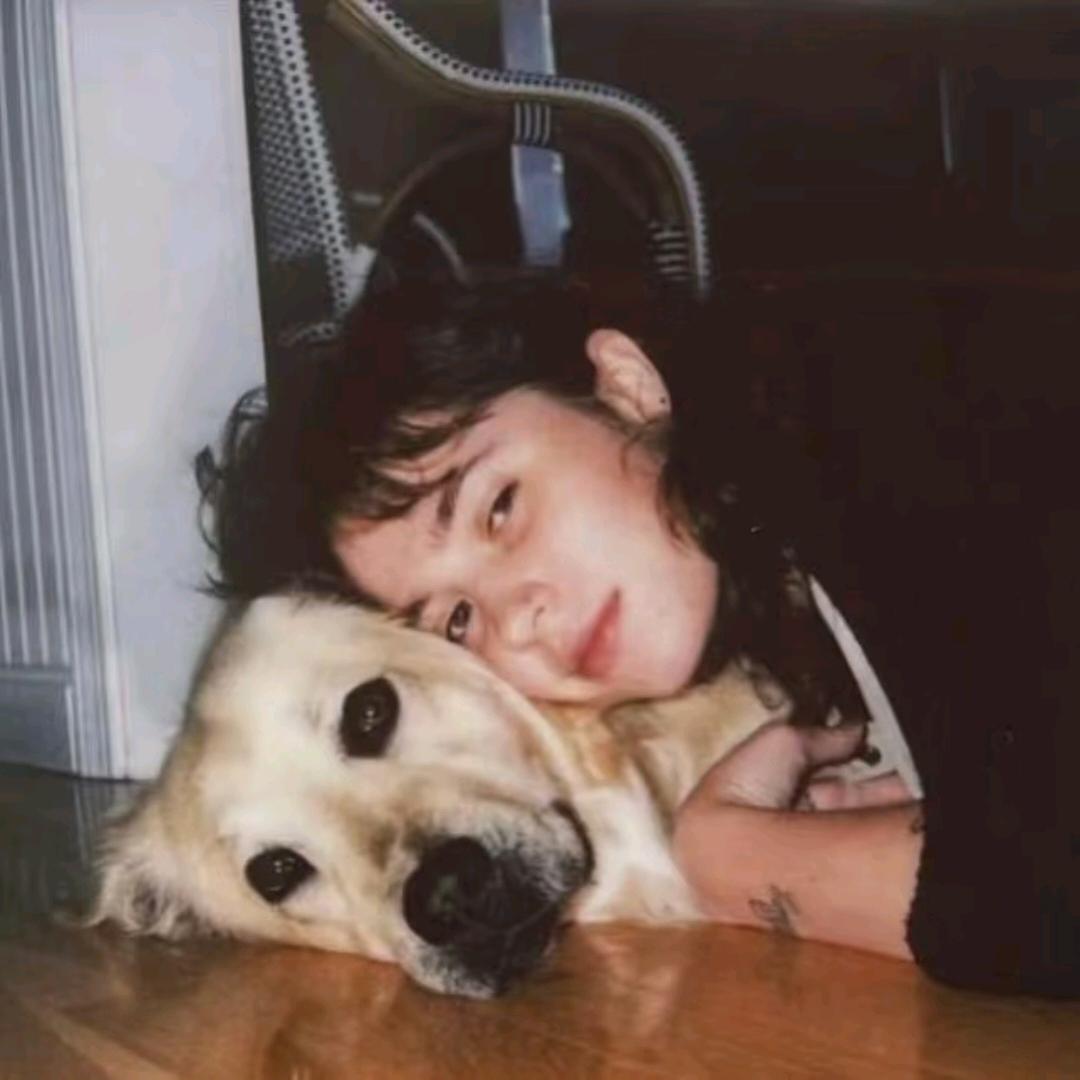 火腿我要王中王诶不错