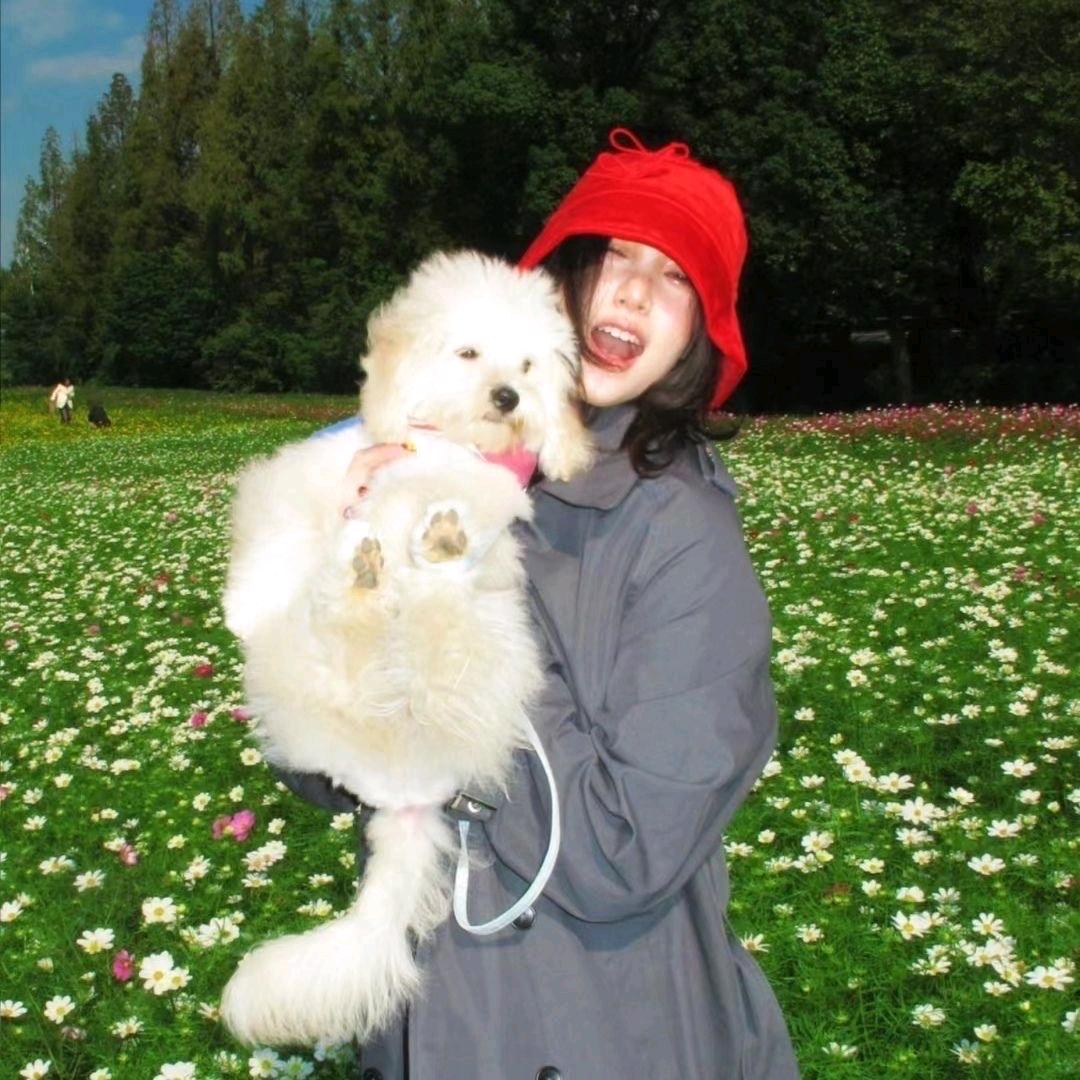 土豆虾仁玉米饼