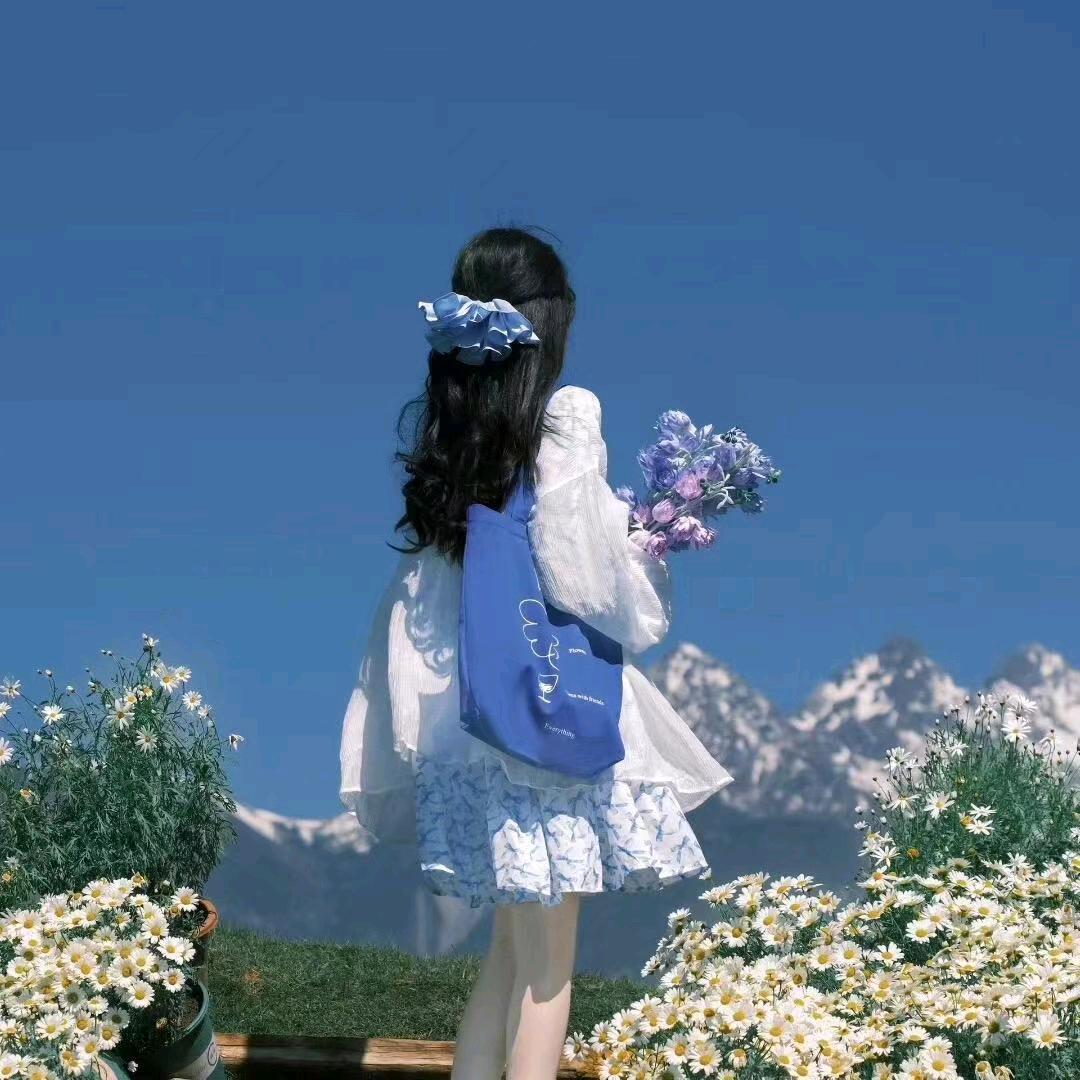樱十七