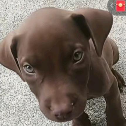 追回自我＜佛山家居>