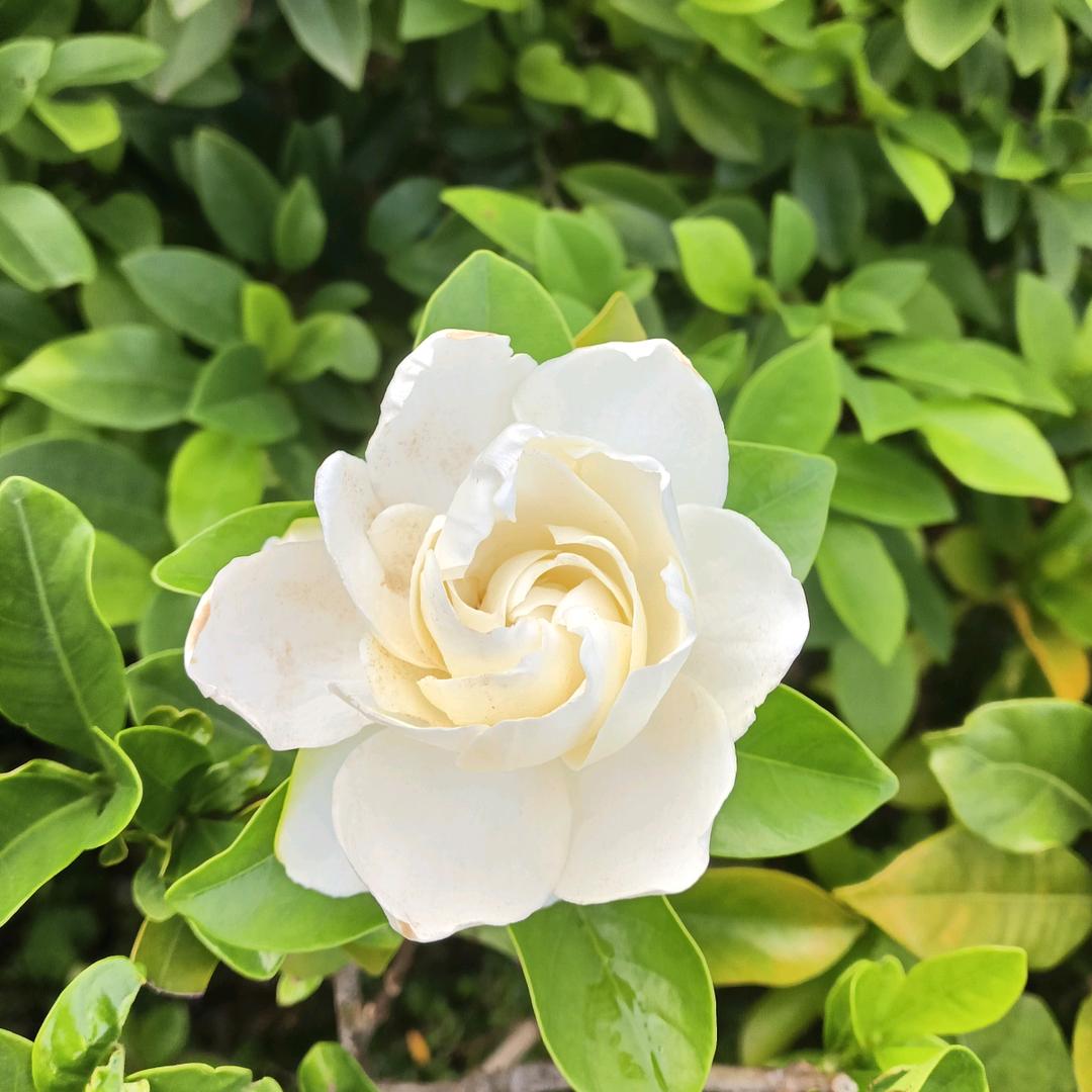 北京装修工程有限公司