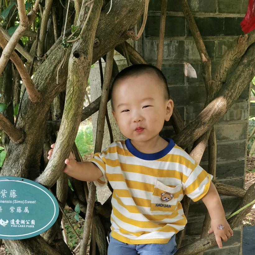 王哥，🎙