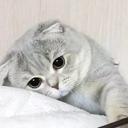 不一样