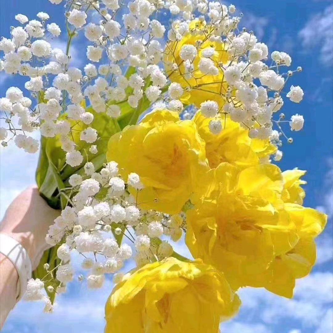 人生没有回头路