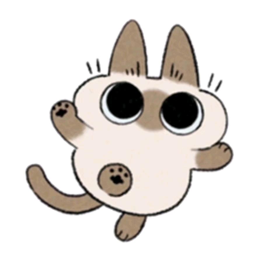 小有名气的瞌睡🐛