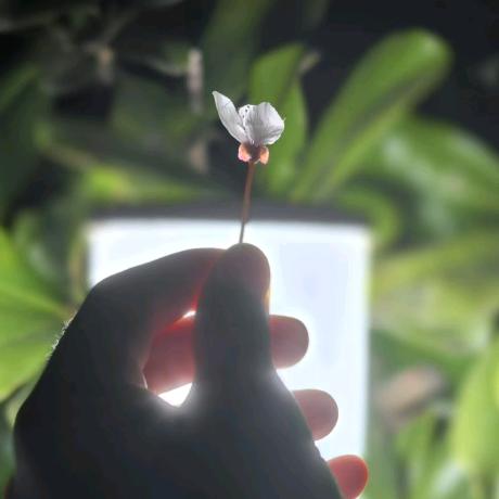 忘川彼岸&似水流年